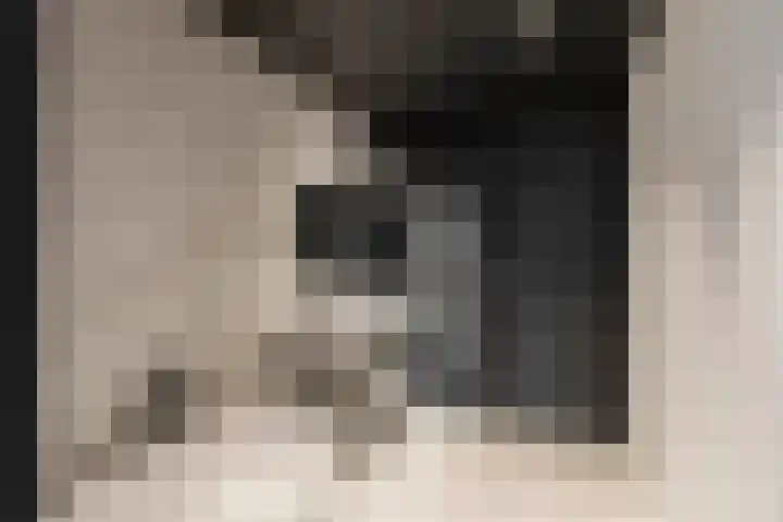 Keizersgracht 647 F Amsterdam thumbnail 19