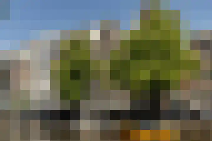 Keizersgracht 647 F Amsterdam thumbnail 4