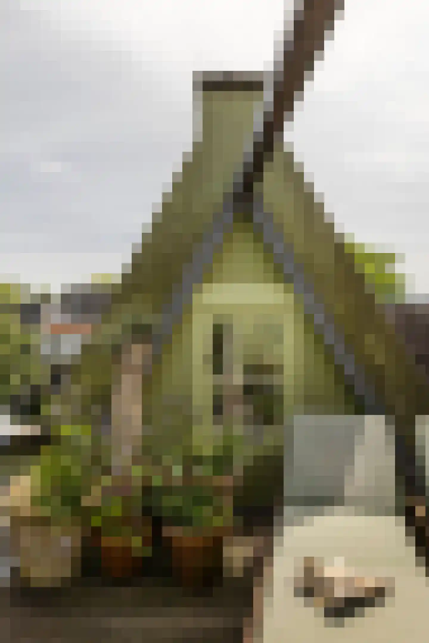 Keizersgracht 694 Amsterdam thumbnail 29