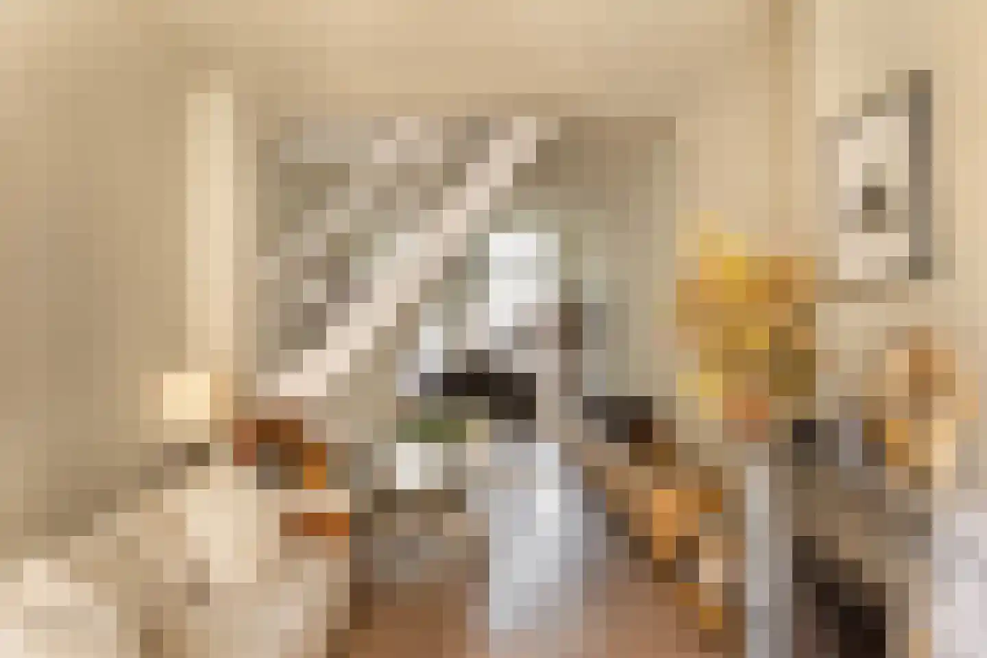 Keizersgracht 694 Amsterdam thumbnail 9