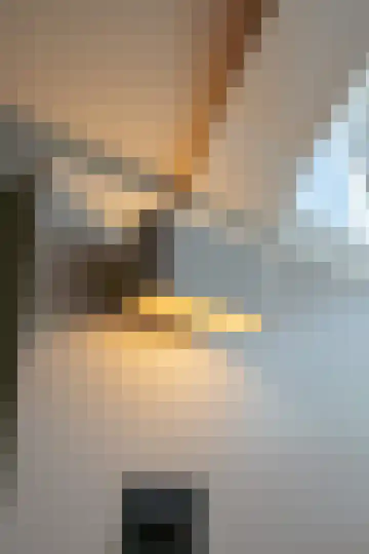 Keizersgracht 699 D Amsterdam thumbnail 36