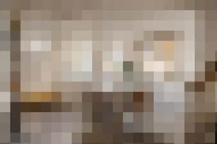 Keizersgracht 700 Amsterdam thumbnail 6