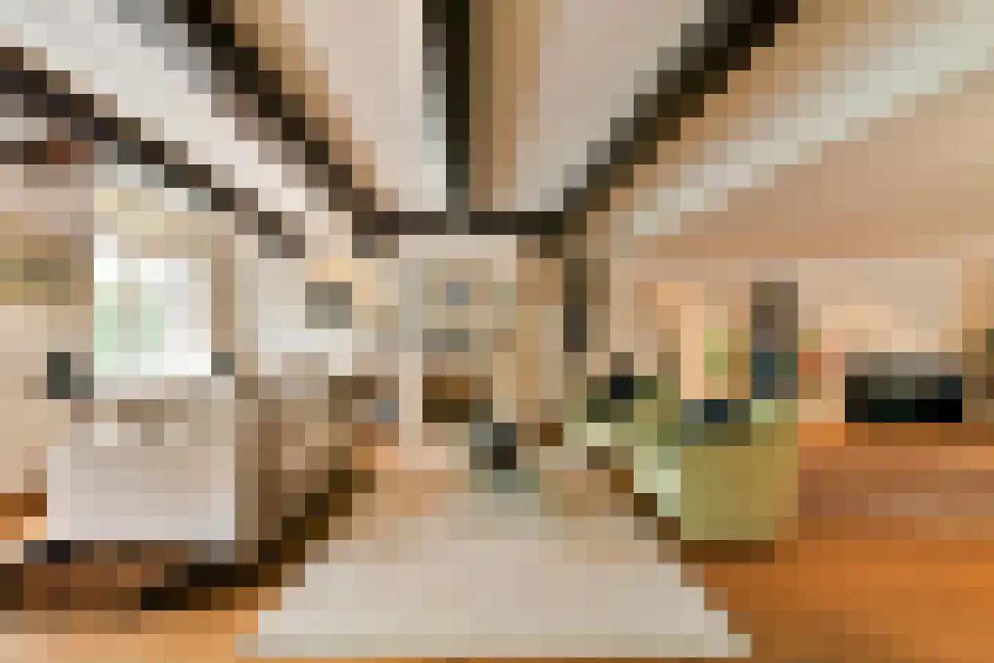 Keizersgracht 71 2 Amsterdam thumbnail 4