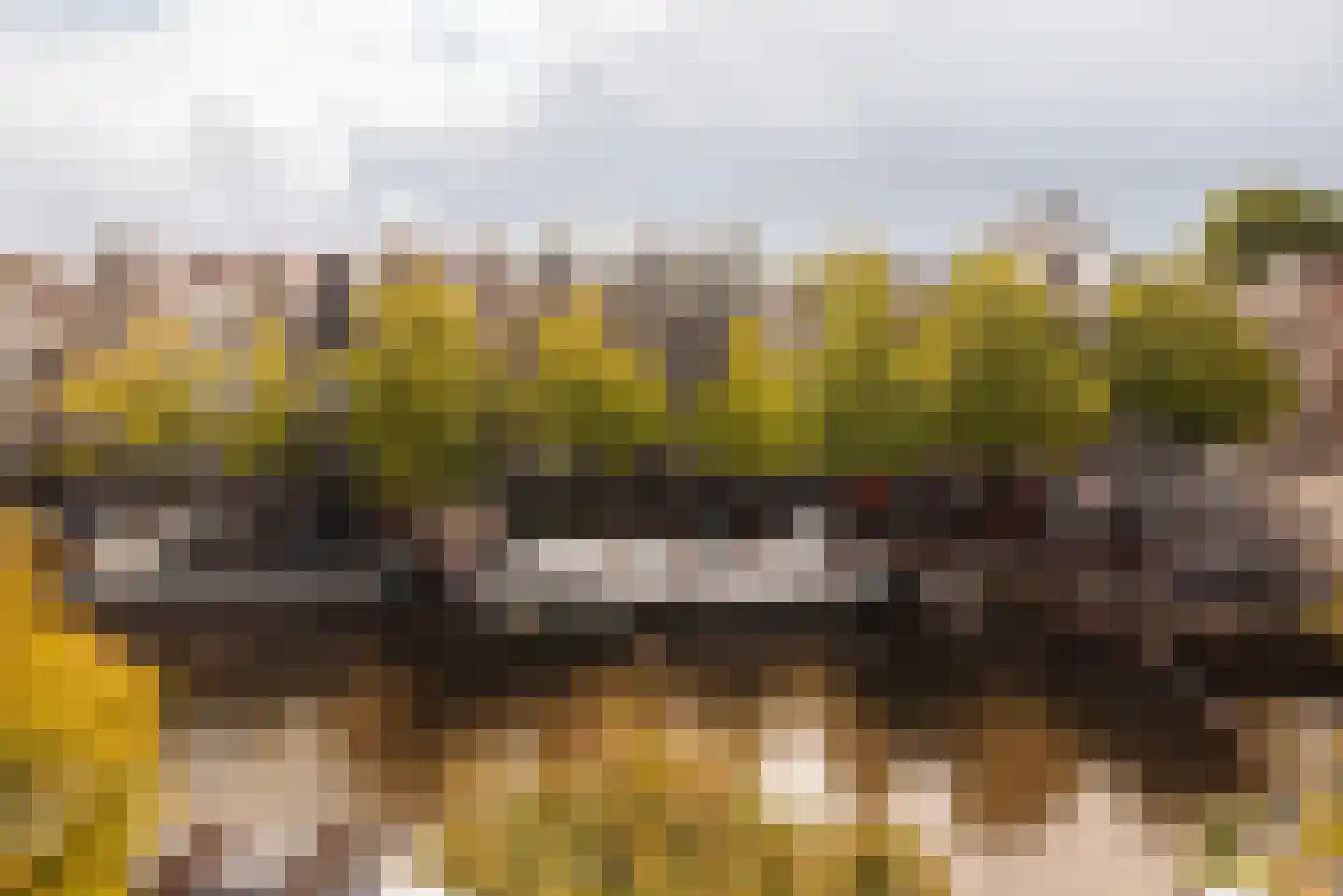 Keizersgracht 719 G Amsterdam thumbnail 41