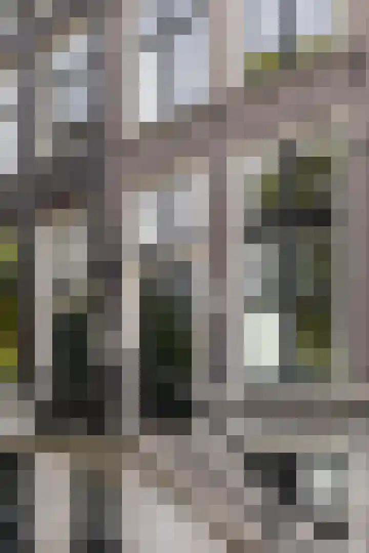 Keizersgracht 720 HA Amsterdam thumbnail 21