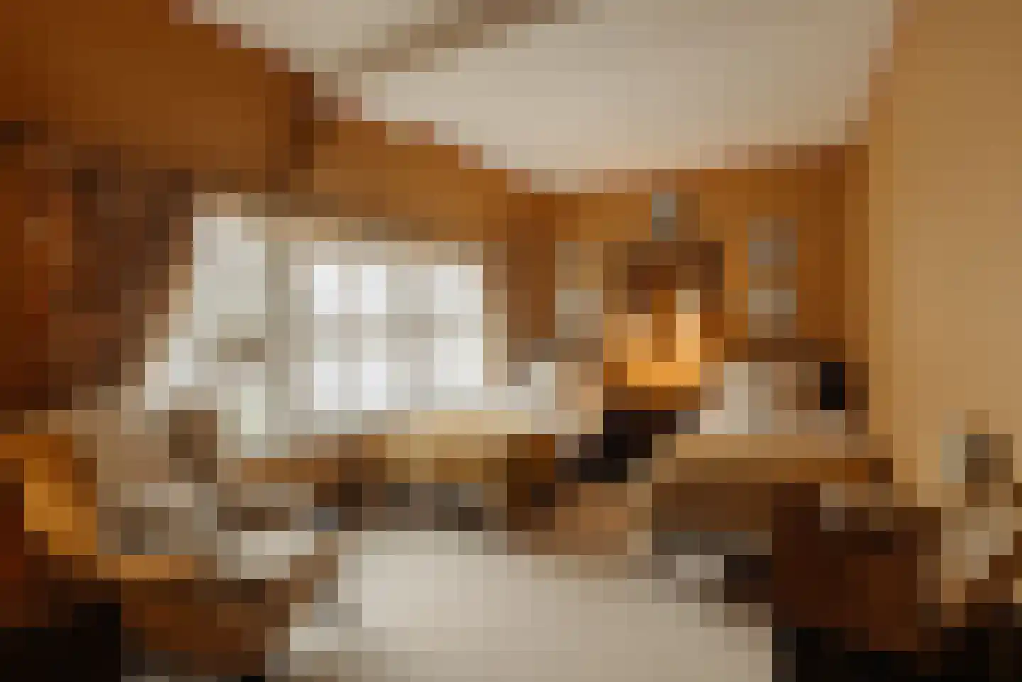 Keizersgracht 73 E Amsterdam thumbnail 33