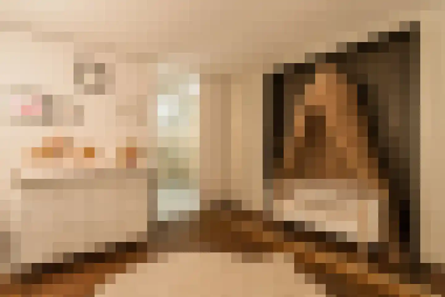 Keizersgracht 74 K Amsterdam thumbnail 20