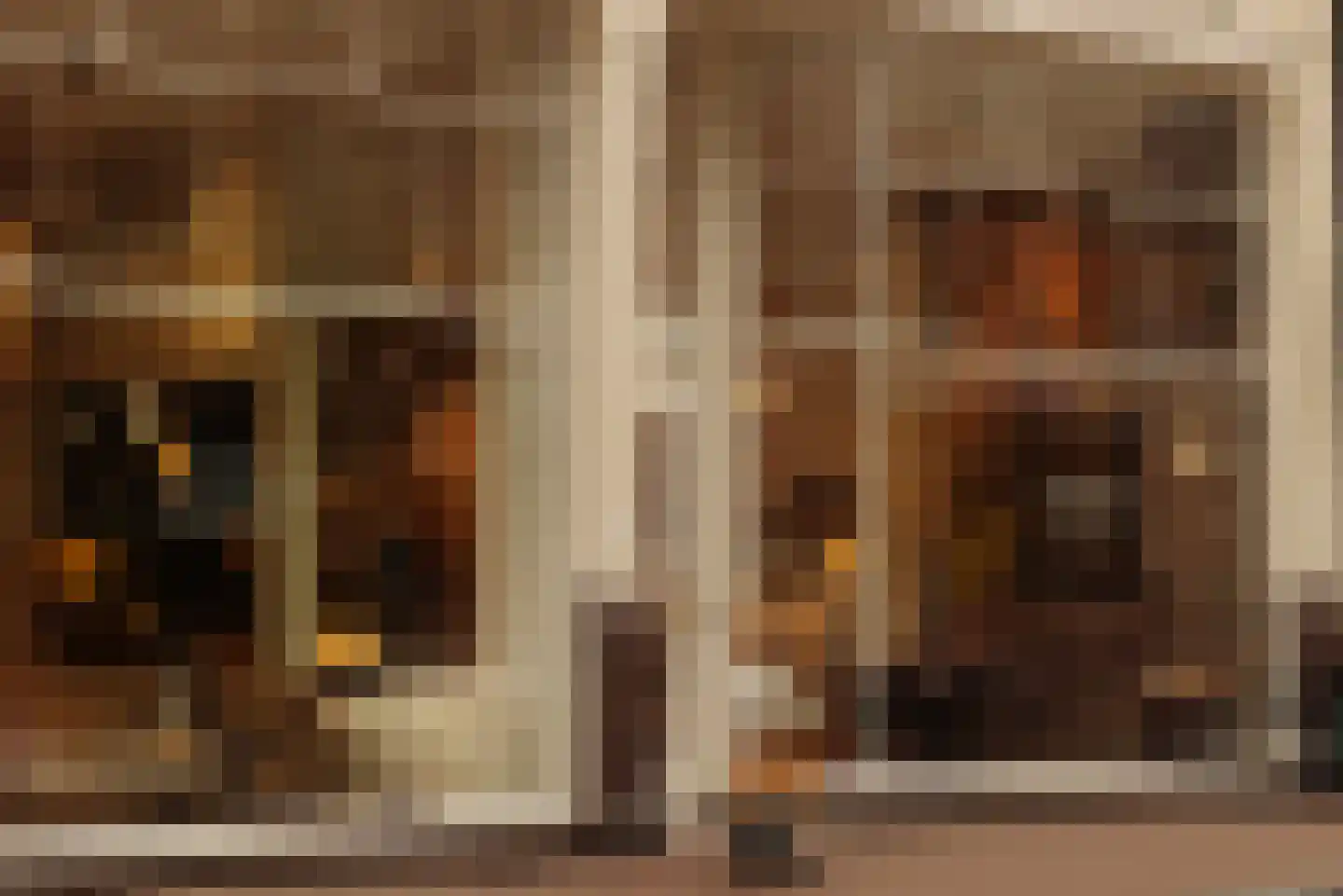 Keizersgracht 764 A 1 Amsterdam thumbnail 23