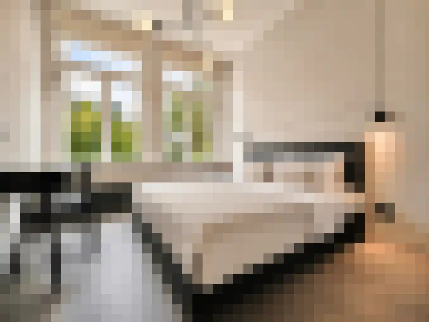 Keizersgracht 774 Amsterdam thumbnail 15