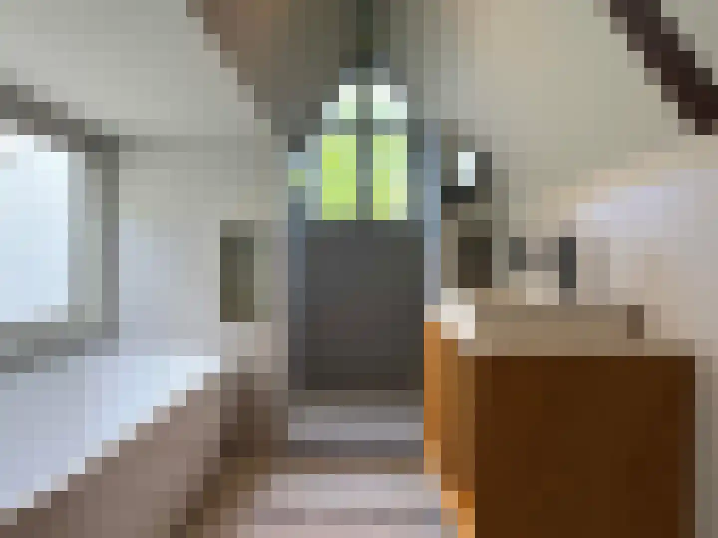 Keizersgracht 774 Amsterdam thumbnail 38