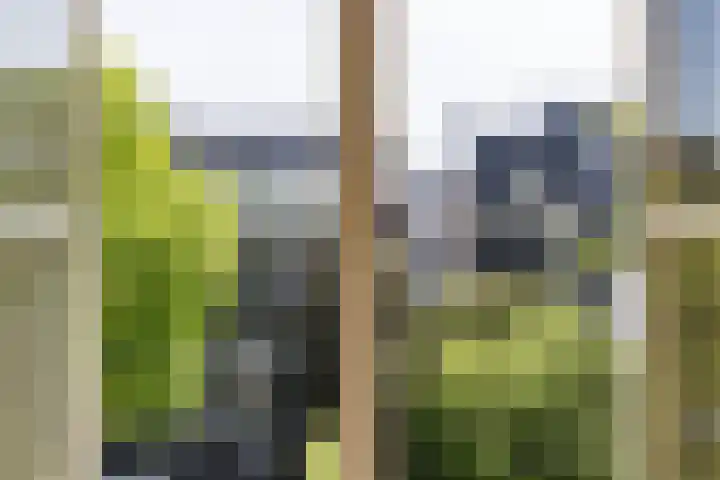 Keizersgracht 81 2A Amsterdam thumbnail 18