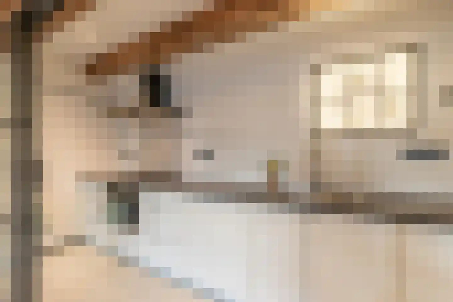 Keizersgracht 810 A Amsterdam thumbnail 41