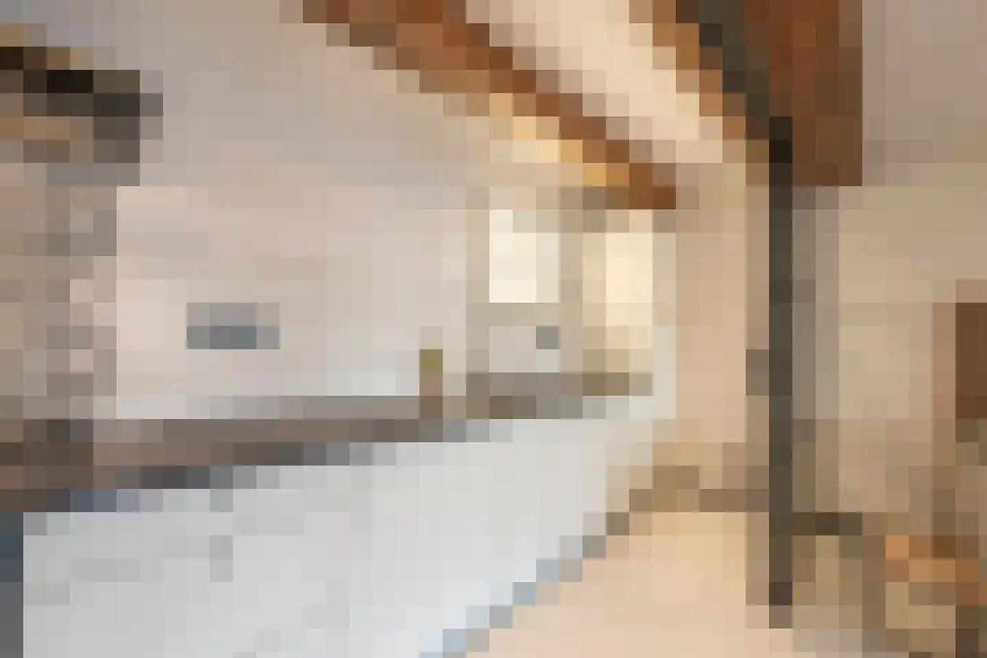 Keizersgracht 810 A Amsterdam thumbnail 44