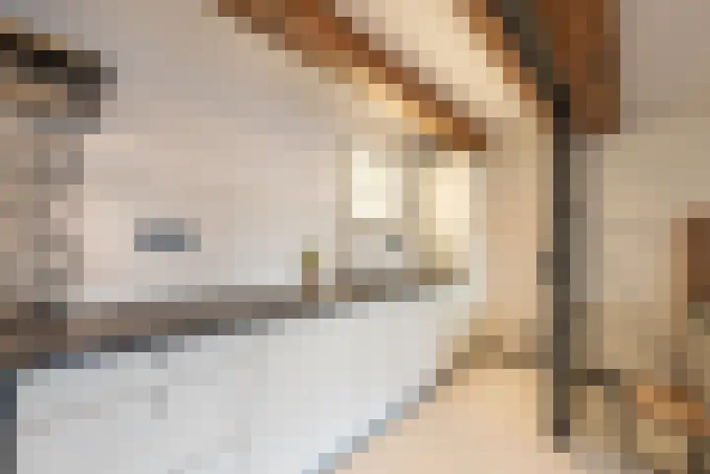 Keizersgracht 810 A Amsterdam thumbnail 45