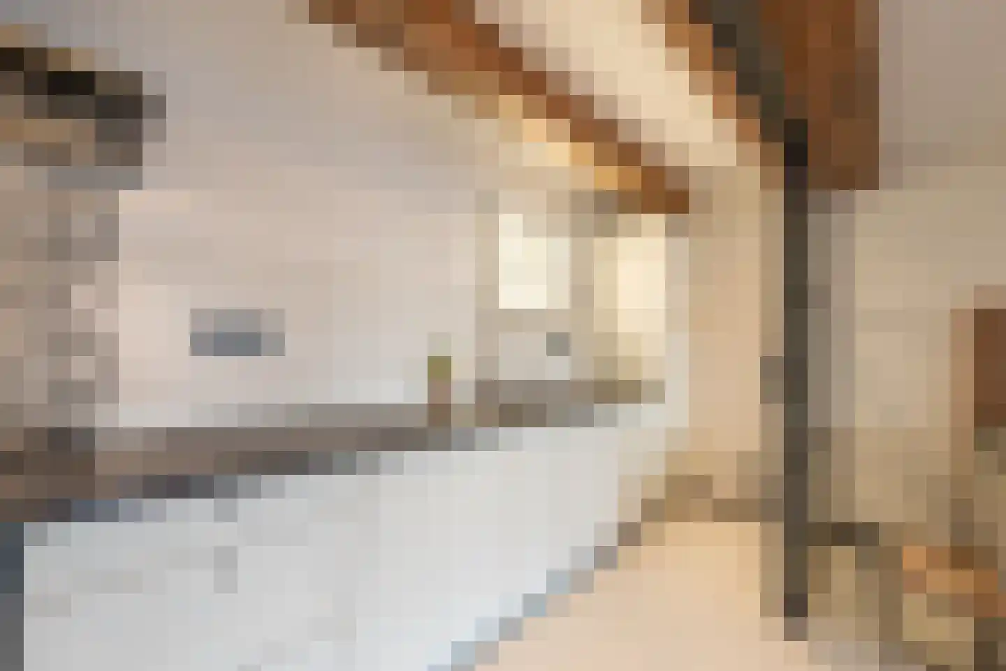 Keizersgracht 810 A Amsterdam thumbnail 45