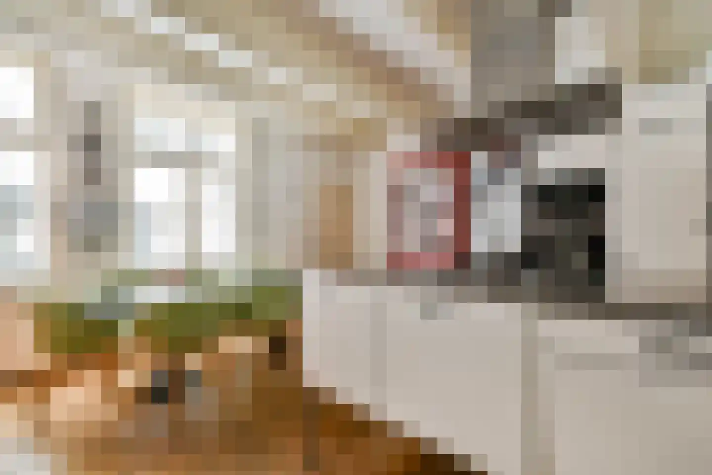 Keizersgracht 86 C Amsterdam thumbnail 9
