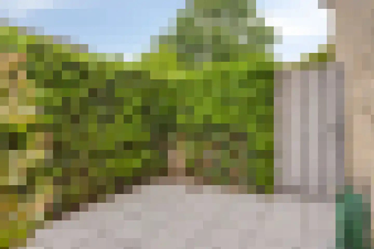 Keizershof 109 Uden thumbnail 31