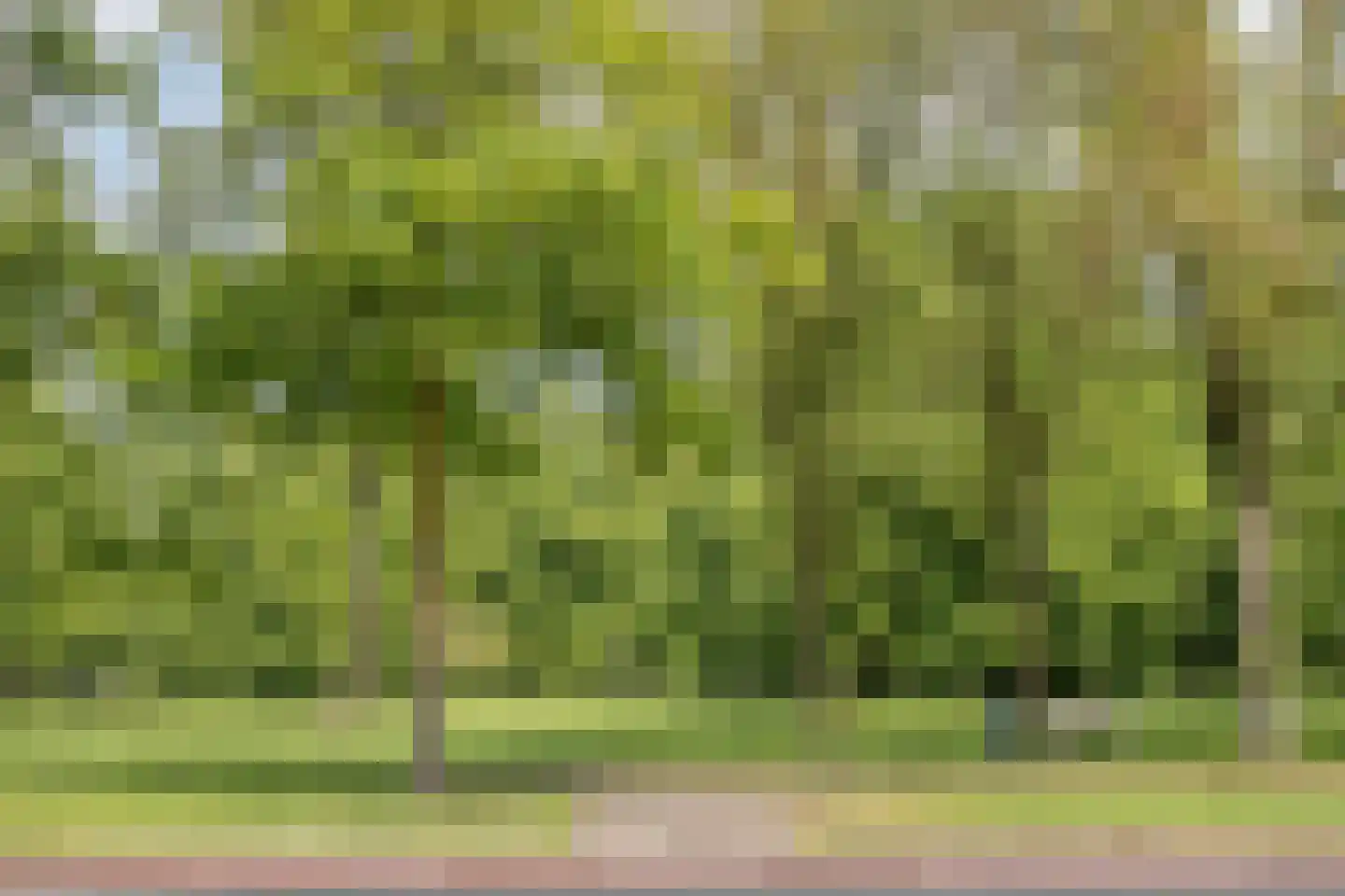 Keizershof 109 Uden thumbnail 32