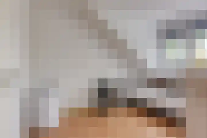 Keizershof 11 Leiderdorp thumbnail 30