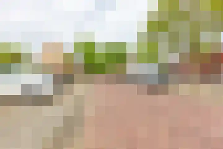 Keizershof 11 Leiderdorp thumbnail 34