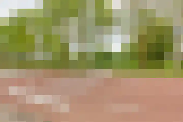 Keizershof 11 Leiderdorp thumbnail 35
