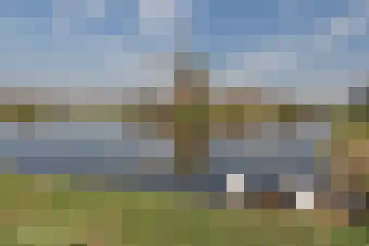 Keizershof 11 Leiderdorp thumbnail 36