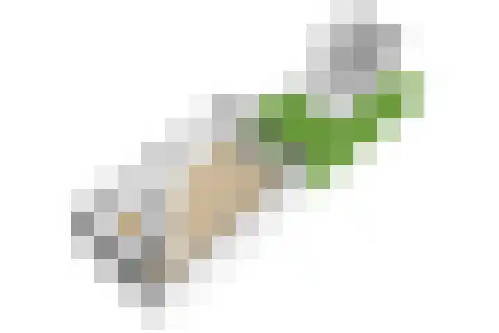 Keizershof 11 Leiderdorp thumbnail 44