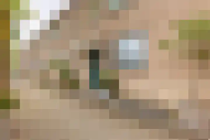 Keizershof 11 Leiderdorp thumbnail 7