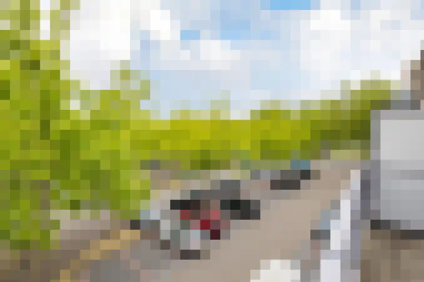 Keizershof 118 Alphen aan den Rijn thumbnail 15