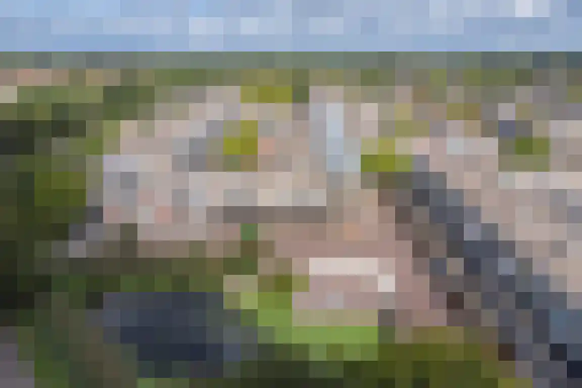 Keizershof 118 Alphen aan den Rijn thumbnail 23