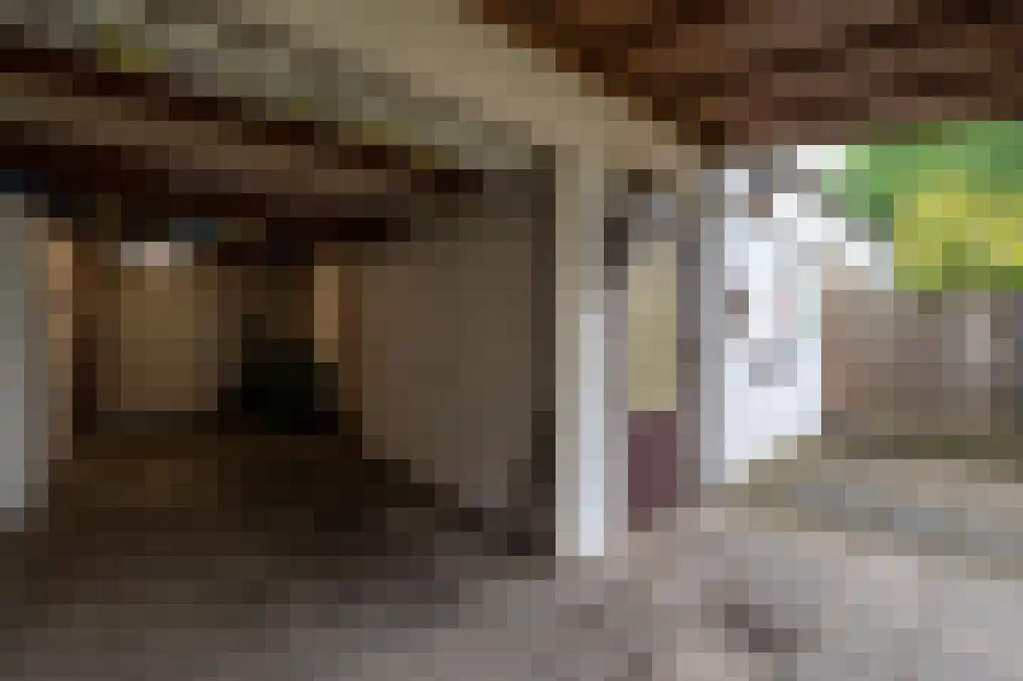 Keizershof 20 Molenhoek thumbnail 31