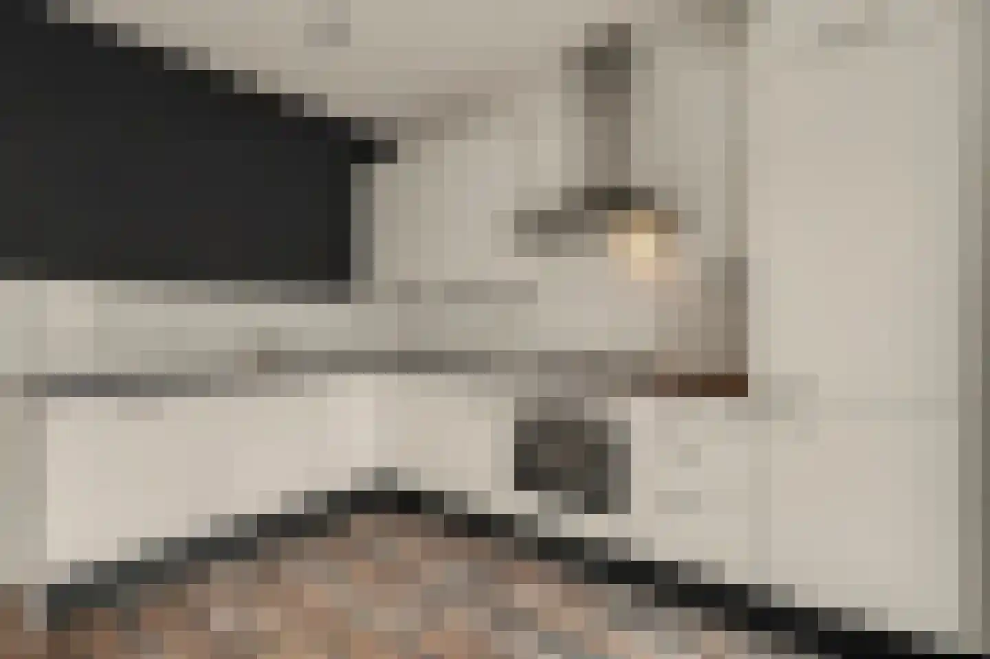 Keizershof 30 Venray thumbnail 9