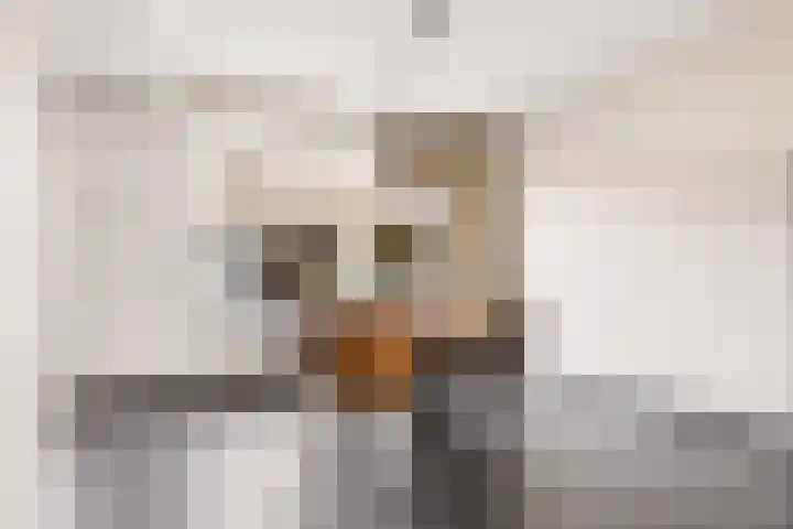 Keizershof 322 Uden thumbnail 14