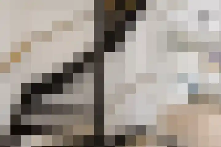 Keizershof 322 Uden thumbnail 20