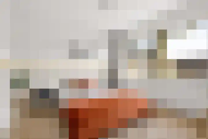 Keizershof 322 Uden thumbnail 21