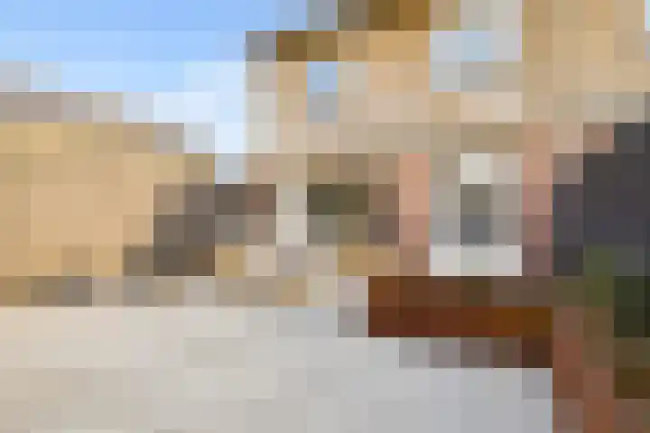 Keizershof 322 Uden thumbnail 38
