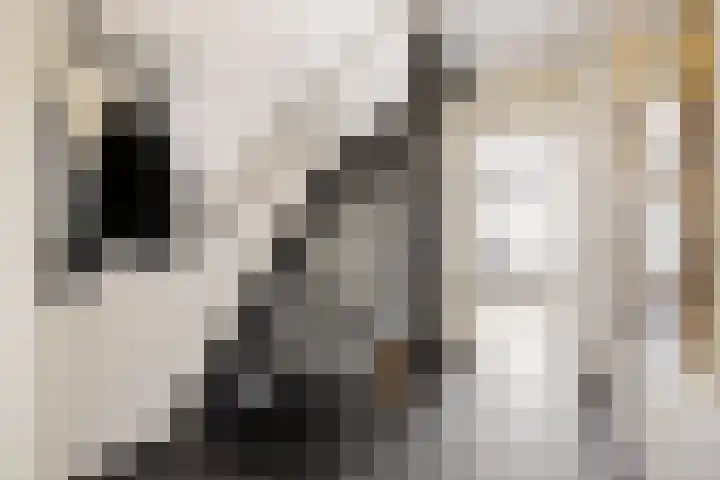 Keizershof 322 Uden thumbnail 5