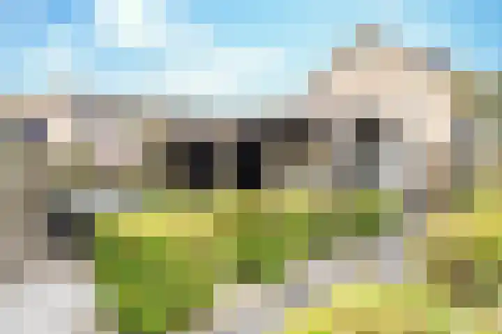 Keizershof 401 Uden thumbnail 5