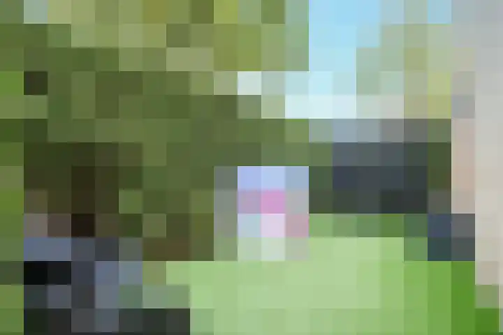 Keizershof 401 Uden thumbnail 8