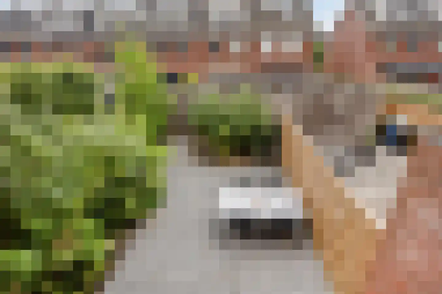 Keizershof 41 Harmelen thumbnail 27