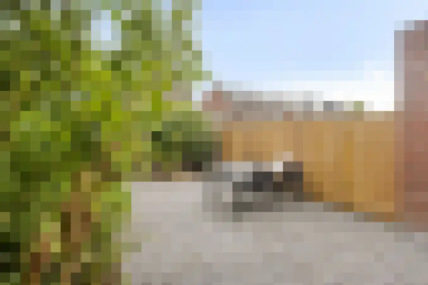 Keizershof 41 Harmelen thumbnail 28