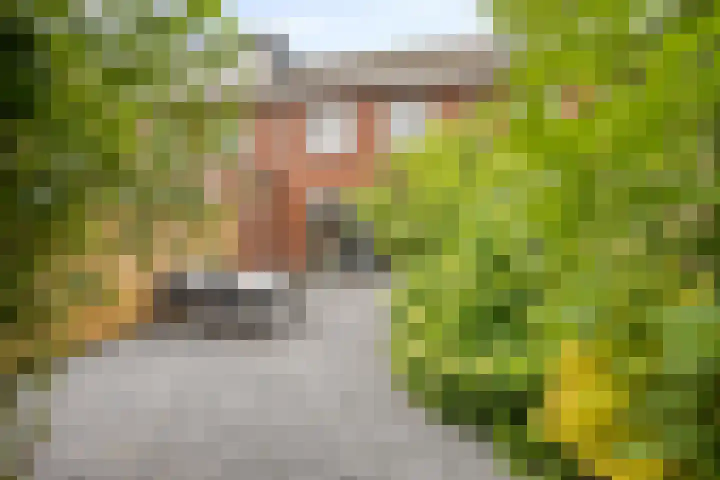 Keizershof 41 Harmelen thumbnail 30
