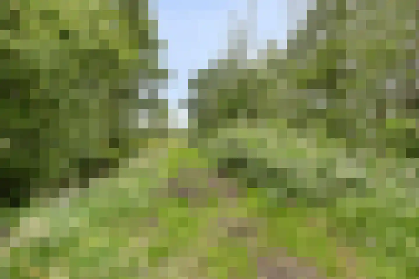 Keizershof 41 Harmelen thumbnail 39