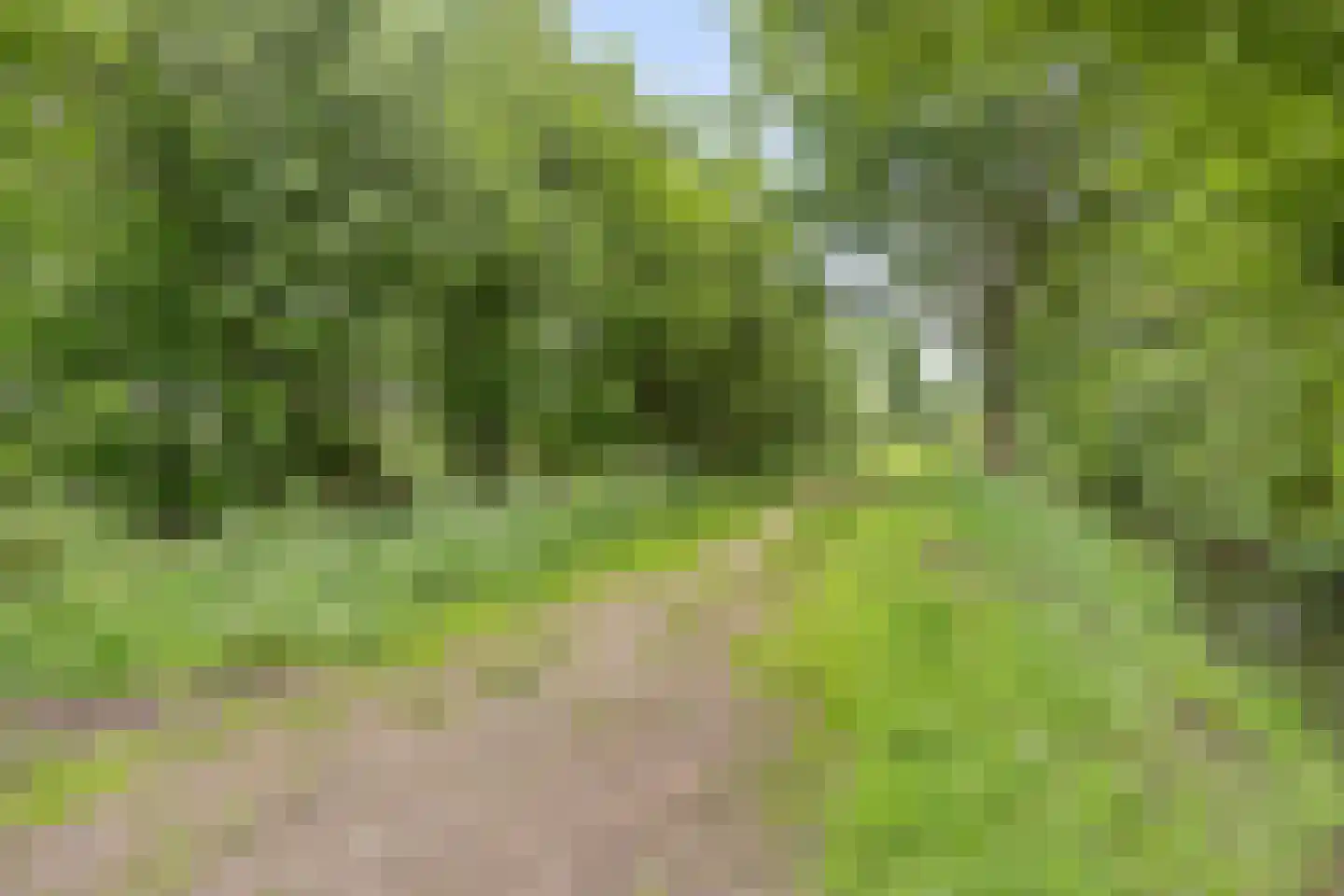 Keizershof 41 Harmelen thumbnail 40