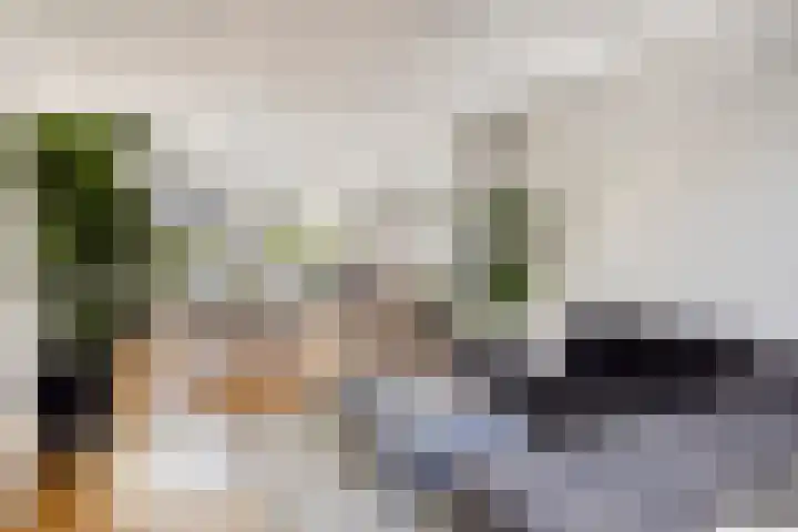 Keizershof 411 Uden thumbnail 10