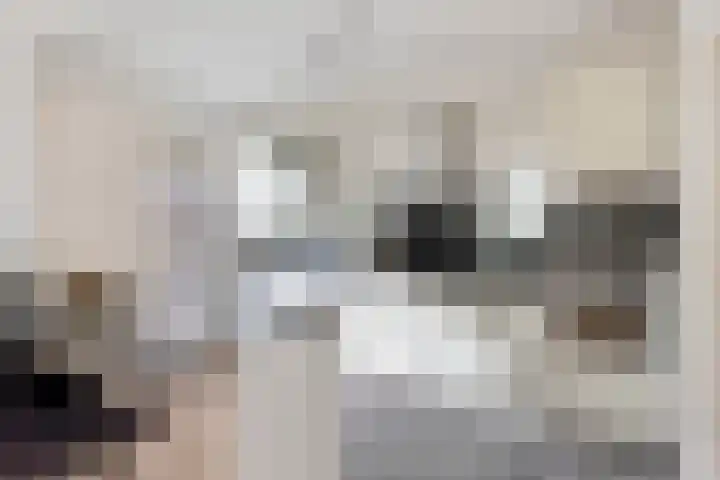 Keizershof 411 Uden thumbnail 13