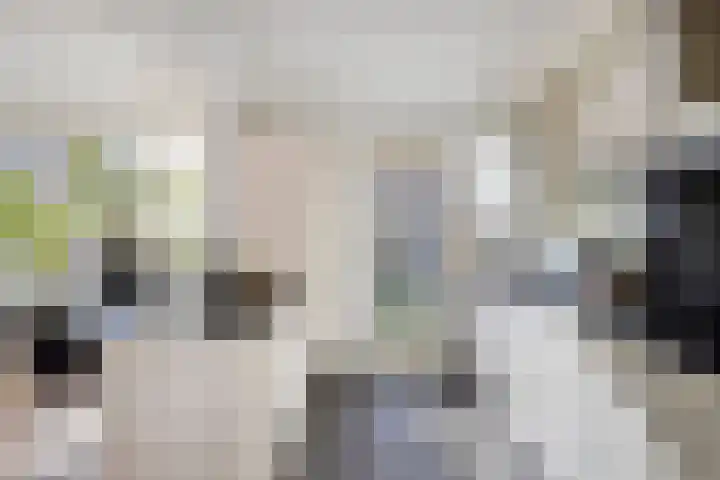 Keizershof 411 Uden thumbnail 14