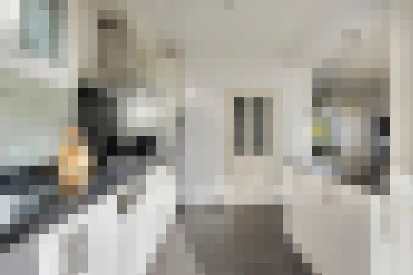 Keizershof 411 Uden thumbnail 15