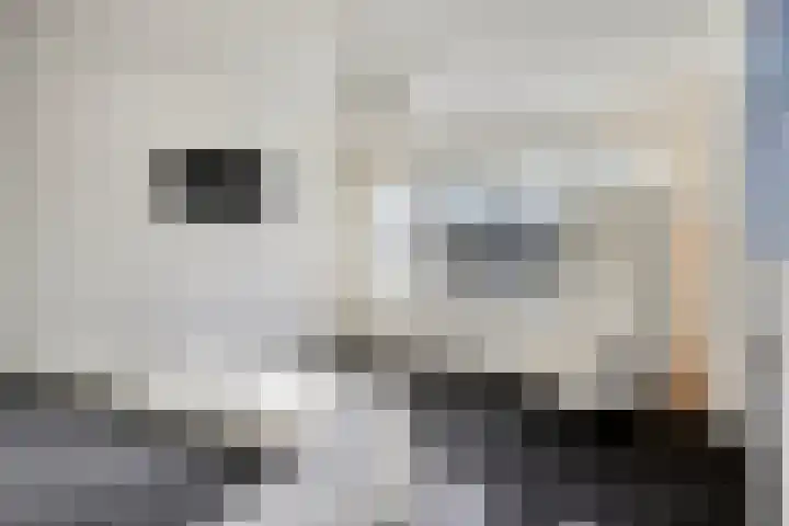 Keizershof 411 Uden thumbnail 19