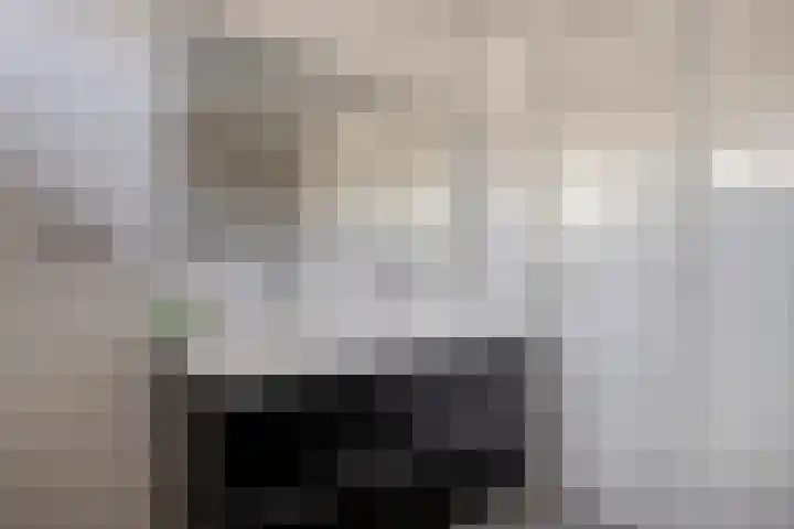 Keizershof 411 Uden thumbnail 24